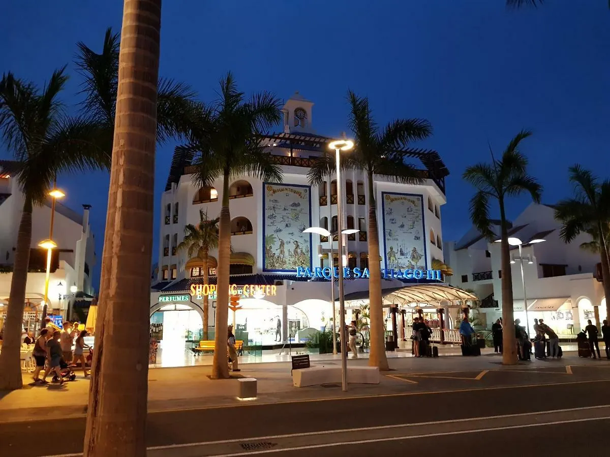 Parque Santiago 3 Seaview Apartment Playa de las Americas  Spain